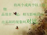 美术五年级上人教版 1色彩的对比 课件（23张）