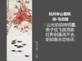 美術(shù)五年級上人教版 8鳥語花香 課件（24張）