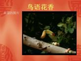 人教版小学五年级美术上册《8.鸟语花香》课件
