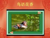 人教版小学五年级美术上册《8.鸟语花香》课件