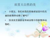 人教版一年級上冊美術(shù)20《美麗的植物和動物》（課件）（15張）