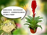 人教版小學一年級美術下冊第11課 太空里的植物 課件