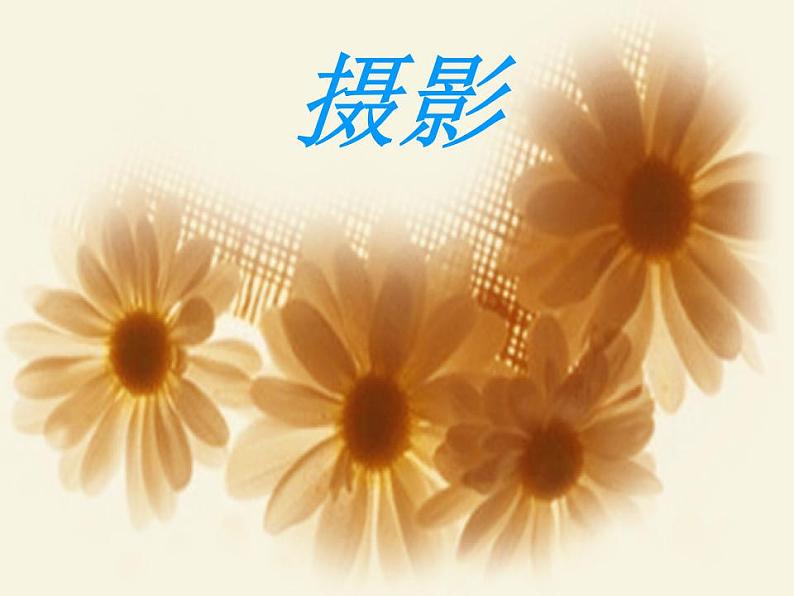 人教版小学美术一年级下册《第1课影子的游戏》PPT课件06