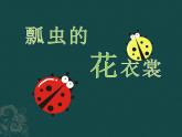 人教版小学一年级美术下册《8.瓢虫的花衣裳》课件