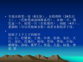 人教新課標(biāo)六年級(jí)美術(shù)上冊(cè)課件  5.風(fēng)景寫生 課件