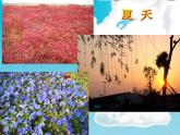 人美版美術(shù)四上《1.四季的色彩》課件