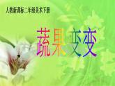 人教版小學(xué)二年級(jí)美術(shù)下冊(cè)《第11課蔬果變變變》課件(5)