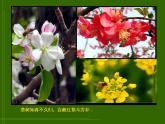 最新美術(shù)春天的色彩課案課件PPT
