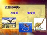 湘教版三年級美術(shù)下冊《第9課恐龍世界》課件 (2)
