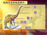 湘教版三年级美术下册《第9课恐龙世界》课件 (2)
