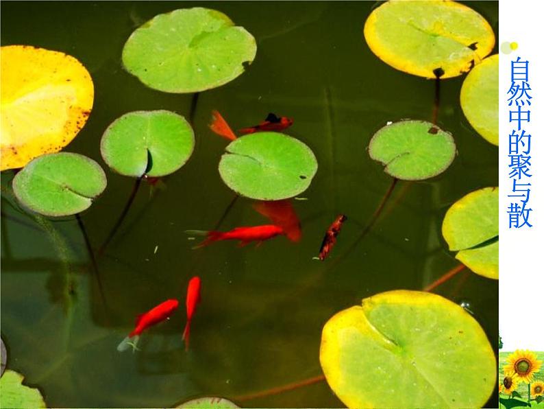 人教版 四年级下册 第1课美术聚聚散散 课件PPT第4页