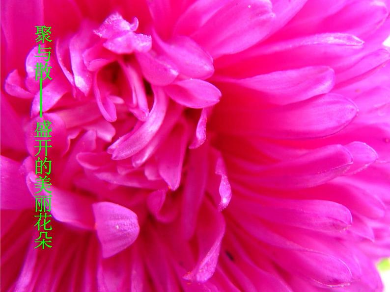 人教版 四年级下册 第1课美术聚聚散散 课件PPT第6页