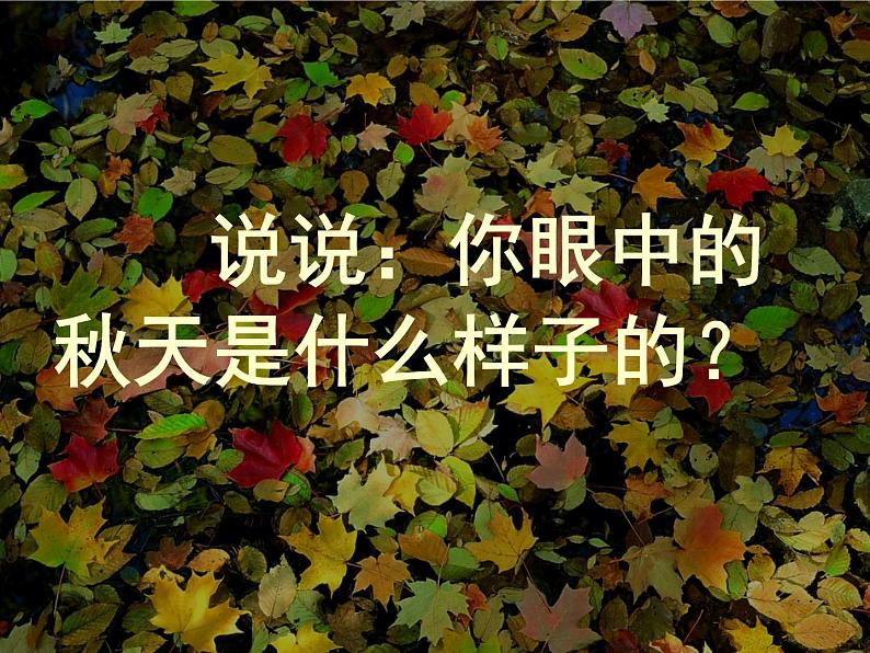 湘美版三年级美术上册 第11课 留住秋天课件PPT06