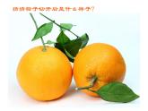 第6課 新發(fā)現(xiàn)（9）（課件）美術(shù)三年級上冊-湘美版