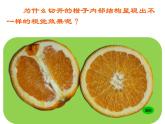 第6課 新發(fā)現(xiàn)（9）（課件）美術(shù)三年級上冊-湘美版