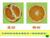 第6課 新發(fā)現(xiàn)（9）（課件）美術(shù)三年級上冊-湘美版