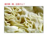 第6課 新發(fā)現(xiàn)（10）（課件）美術(shù)三年級上冊-湘美版