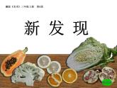 湘美版三年級美術(shù)上冊 第6課 新發(fā)現(xiàn)課件PPT