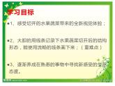 湘美版三年級美術(shù)上冊 第6課 新發(fā)現(xiàn)課件PPT