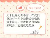 奇妙的爬行PPT课件免费下载