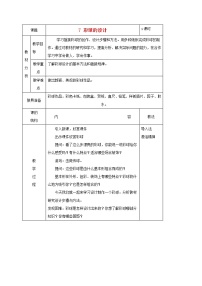 美术六年级下学期5.彩球的设计教案设计