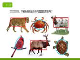 湘美版三年級(jí)美術(shù)上冊 第3課 方方圓圓課件PPT