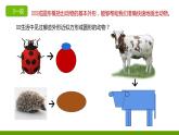湘美版三年級(jí)美術(shù)上冊 第3課 方方圓圓課件PPT