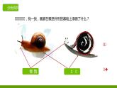 湘美版三年級(jí)美術(shù)上冊 第3課 方方圓圓課件PPT