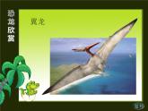 湘美版三年級(jí)美術(shù)上冊(cè) 第10課 花手帕課件PPT