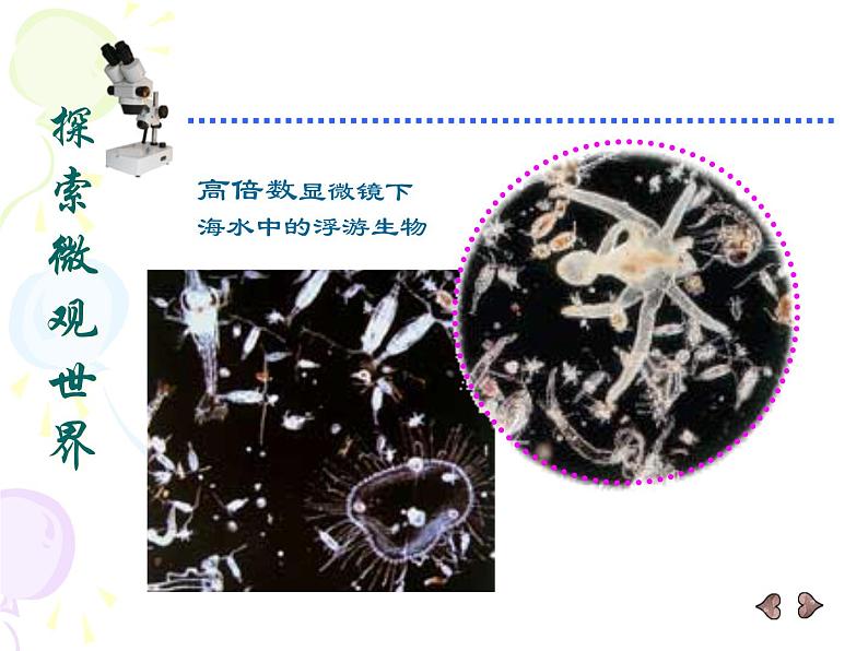人教版小学美术五年级下册《第14课微观世界》课件 (1)06