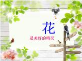 最新美術(shù)湘教版美術(shù)四下《花團(tuán)錦簇》PPT課件