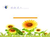 湘美版四年級美術上冊 第6課 花兒朵朵課件PPT