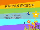 湘美版四年級美術上冊 第6課 花兒朵朵課件PPT