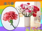 湘美版四年級美術上冊 第6課 花兒朵朵課件PPT