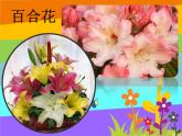湘美版四年級美術上冊 第6課 花兒朵朵課件PPT