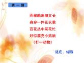 湘美版四年級(jí)美術(shù)上冊(cè) 第14課 蝴蝶落我家課件PPT
