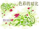 第1课 色彩的对比（3）（课件）美术五年级上册-人教版