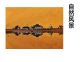 湘美版四年級(jí)美術(shù)上冊 第8課 色彩對(duì)“印”課件PPT