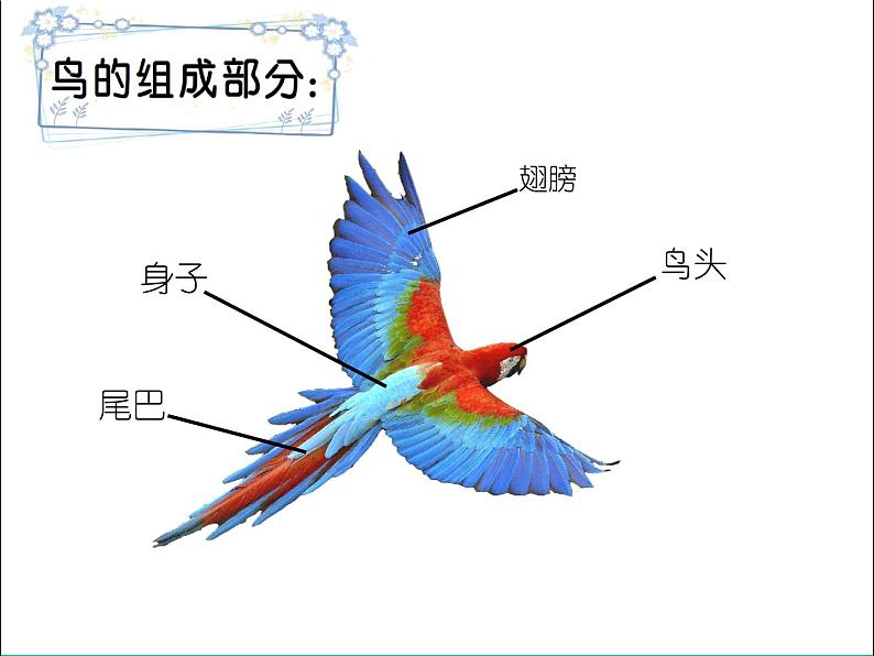 湘美版一年级美术上册 21.鸟语花香课件PPT04