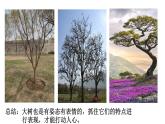 湘美版五年級美術(shù)上冊 第10課 水墨畫風景課件PPT