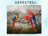 湘美版二年級美術(shù)上冊 15.神鳥變樹課件PPT