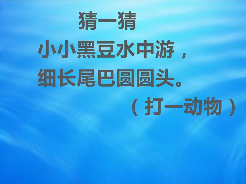 湘美版二年级美术上册 10.小蝌蚪课件PPT第1页