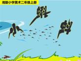 湘美版二年級(jí)美術(shù)上冊(cè) 10.小蝌蚪課件PPT