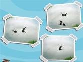 湘美版二年級(jí)美術(shù)上冊(cè) 10.小蝌蚪課件PPT