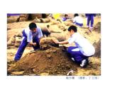 第3課 周末日記（10）（課件）美術(shù)四年級(jí)上冊(cè)-湘美版