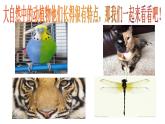 第8課 色彩對(duì)“印”（9）（課件）美術(shù)四年級(jí)上冊-湘美版