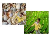 湘美版二年級(jí)美術(shù)上冊(cè) 9.形形色色的背景課件PPT