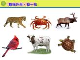 湘美版三年級(jí)美術(shù)上冊 第3課 方方圓圓課件PPT