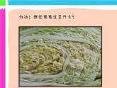 湘美版三年級美術(shù)上冊 第6課 新發(fā)現(xiàn)課件PPT