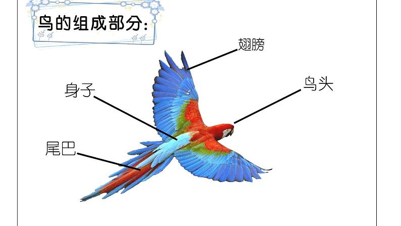 湘美版一年级美术上册 21.鸟语花香课件PPT第4页